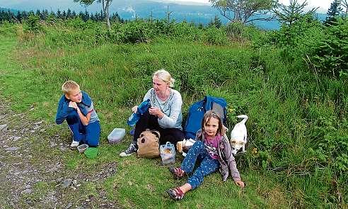 4 13. září 2019 Trutnov, Náchod a Rychnov Rozhledna na vrcholu Velké Deštné roste jako stavebnice Na nejvyšším místě Orlických hor už roste nová rozhledna.