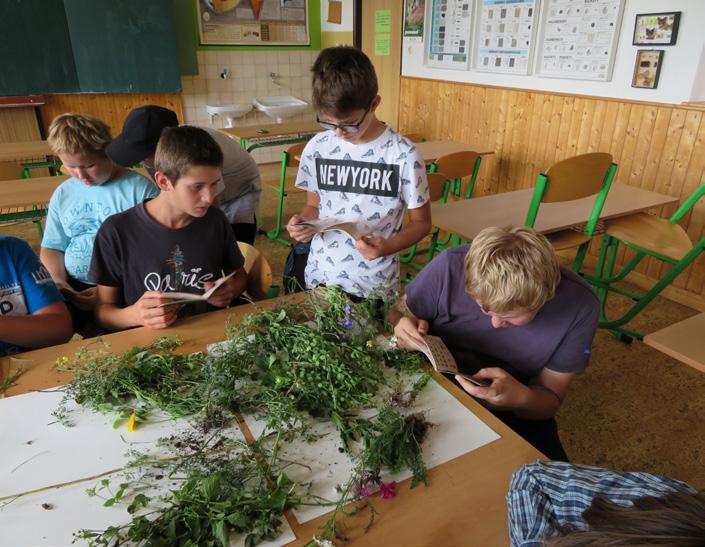 16 WWW.LUZE.CZ ZE ZÁKLADNÍ ŠKOLY ŘÍJEN 2019 ZÁKLADNÍ ŠKOLA LUŽE I když se zdá, že prázdniny právě skončily, ve škole se vše rozběhlo na plné obrátky a první měsíc školy je již za námi.