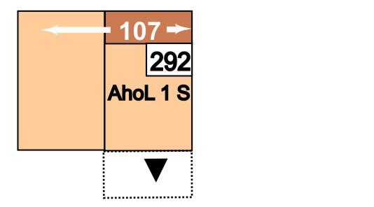 292 AhoL1S 293 1SAhoR 107 95 96 1-sedák s úložným prostorem, přístavný taburet vlevo nebo