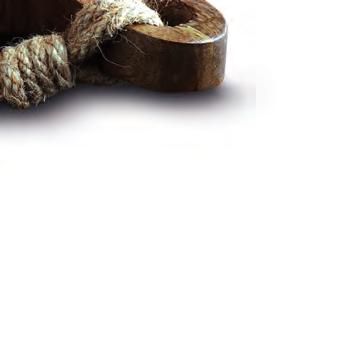 získáte jistotu dodržení hygienických předpisů. Pokaždé dostanete výrobek v naprosto stejné kvalitě.