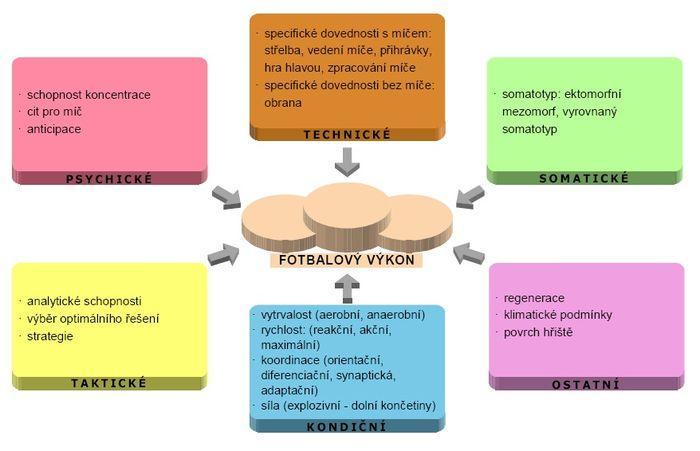 a) Somatické b) Psychické c) Techniky d) Kondiční e) Taktiky Bernaciková, Kapounková, & Novotný (2010) z fakulty sportovních studií v Brně k těmto faktorům přidávají ještě jeden, který nazvali