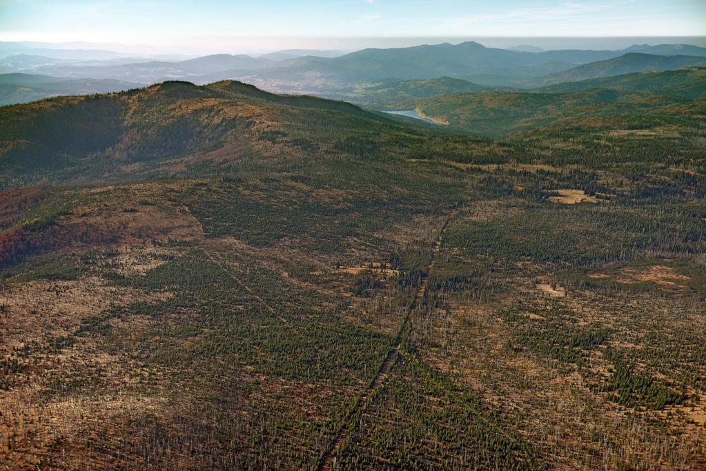 Dnes 25 000 ha souvislé divočiny a 32 000 ha v obou NP.