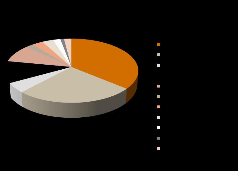 SIXT leasing - TCO TOTAL COST OF OWNERSHIP TCO Společnost SIXT má dlouholeté zkušenosti se snižováním nákladů spojených s vozovým parkem.