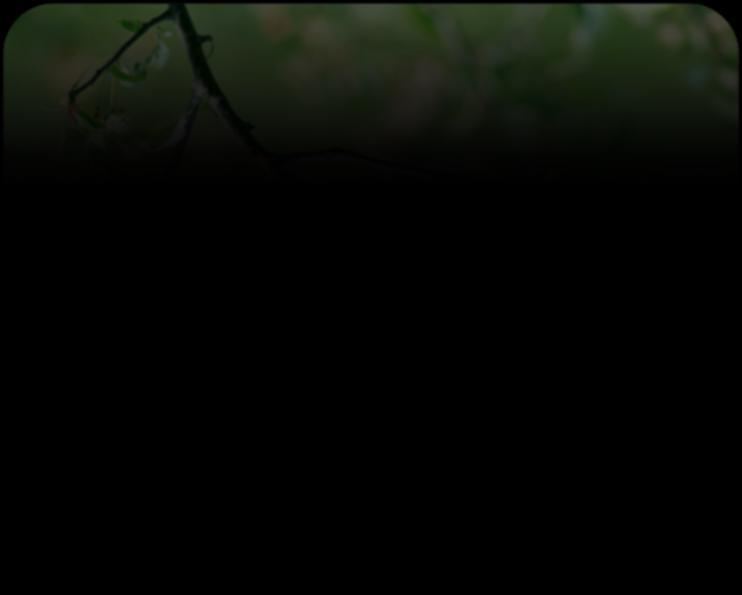Na jaře máme na