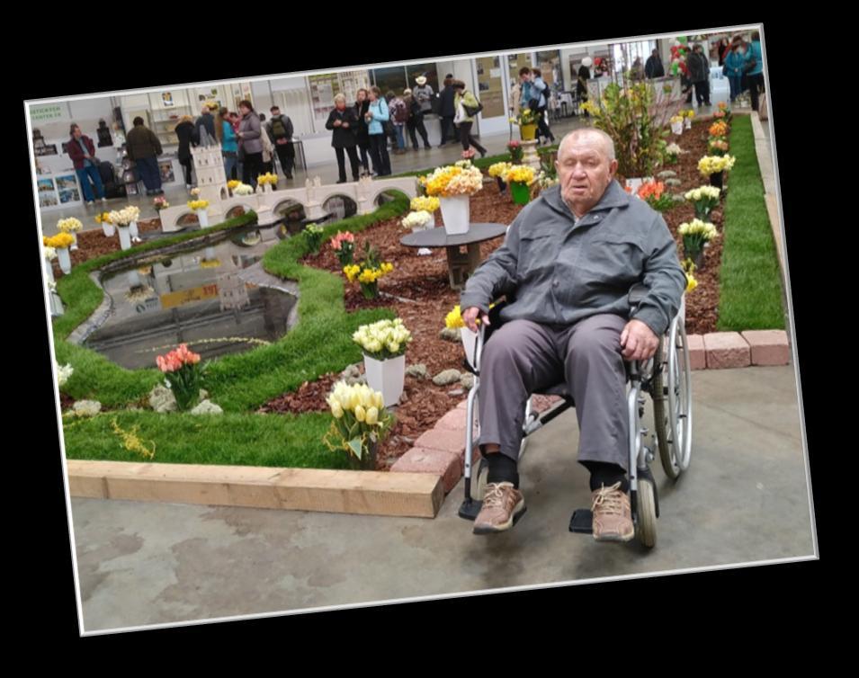 výstava Narcis