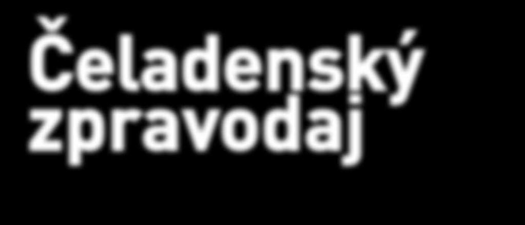 úklid v Čeladné.