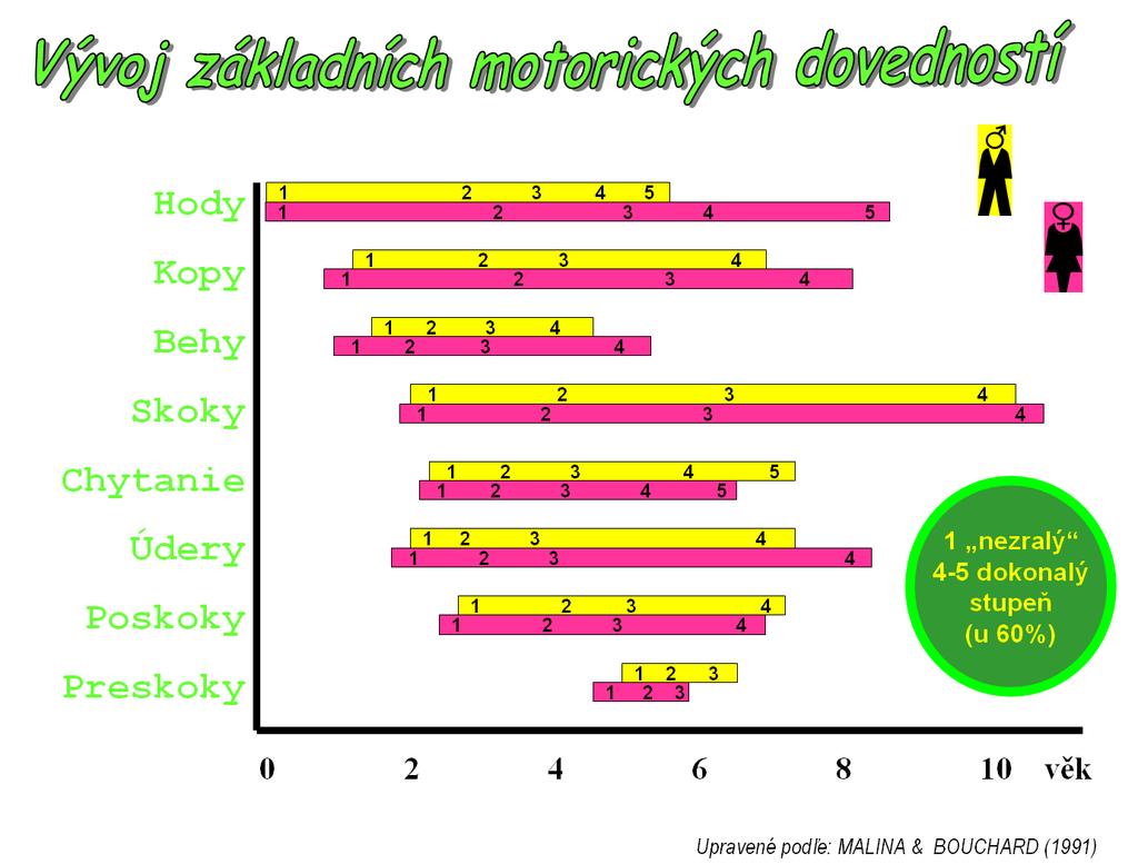 Graf. 5 Vývoj základních motorických dovedností (Duvač, 2009) Kromě období senzitivního je pro motorický vývoj důleţité i dosaţení maximální úrovně konkrétní schopnosti.