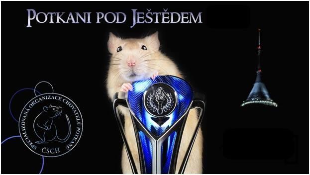 datum konání: 12. 10. 2019 místo konání: Pivovar Konrad Pivovarská 164, 463 11 Liberec 30 Vratislavice https://pivo-konrad.cz/ pořadatel výstavy: (SOCHP) http://www.sochp.cz/ garant výstavy: Bc.