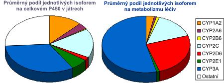 Úvod a přehled literatury číslem za písmenem podrodiny (CYP3A4) [131]. Současná nomenklatura byla navržena Nebertem a spolupracovníky [129].