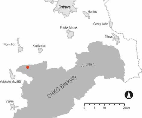 VZTAH MEZI OBSAHEM NÍZKOMOLEKULÁRNÍCH ORGANICKÝCH KYSELIN V PŮDÁCH A BOHATOSTÍ BYLINNÉHO PATRA KARPATSKÝCH BUČIN Relationship between contents of LMMOA in soils and richness of herb vegetation in