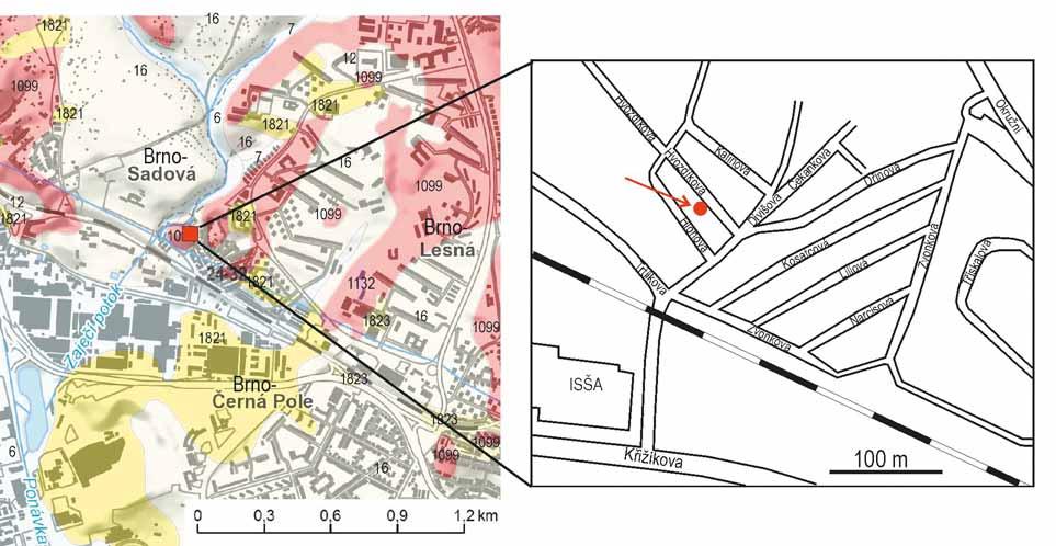 Obr. 1: Situace zájmového území včetně geologické mapy 1 : 50 000 (zdroj www.geology.cz).