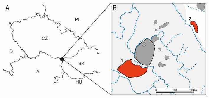 se transformovala v řemeslně-agrární a obchodní centrum druhého řádu. Sídliště v Kosticích zřejmě zčásti přebíralo ve 2. pol. 10. stol.