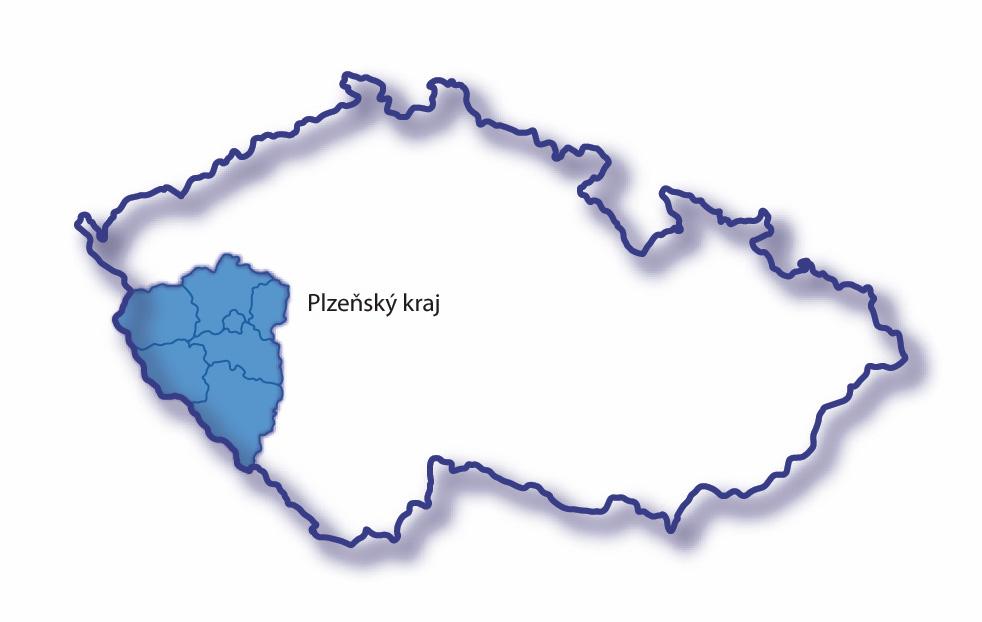 Health statistics yearbook of the Plzeňský Region 2006
