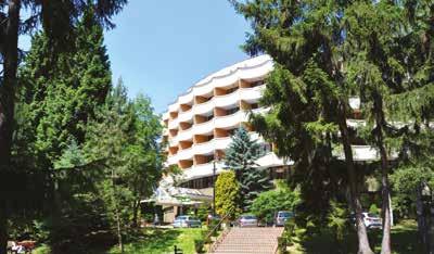 Maximus Resort, Brno