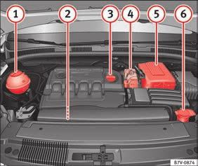 Otevření víka motorového prostoru Páčku pro otevření víka motorového prostoru lze odjistit pouze při otevřených dveřích řidiče.