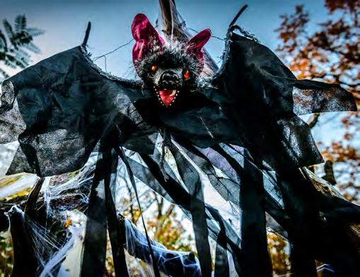 Podzimní akce v Zoo Zlín 6. 10. Světový den zvířat 4., 11., 18. 10. Večerní lampionové prohlídky zoo a zámku 2. 3. 11. Halloween v Zoo Zlín 23. - 24. 11. Advent v Zoo Zlín Početná tlupadželad Tlupa dželad se v letošním roce opět rozrostla.