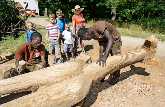 Pro pár orlů zoo připravila prostornou voliéru, která vznikla opravou původních voliér v africké oblasti zoo před pavilonem žiraf.