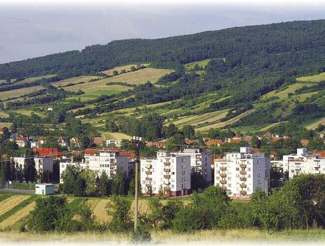 Předávání