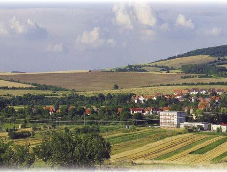 slivovice.