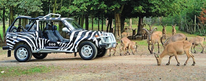 DARUJTE VÝJIMEČNOST přímý spoj OLOMOUC AFRIKA NAHLÉDNĚTE ZA OPONU MĚSTA A ZOO