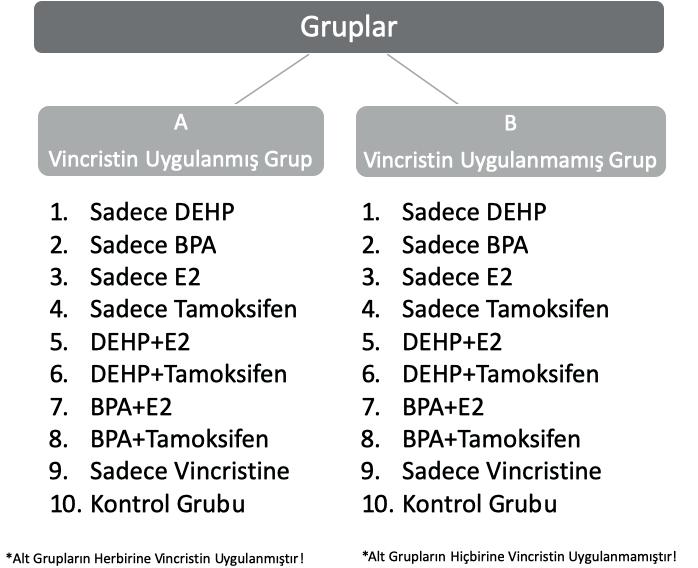 Tablo 1. Uygulama Grupları. DEHP ve BPA, tek başına 0.