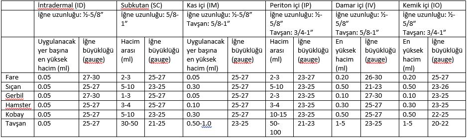 İlacın veriliş yolu; verilecek ilaç türü, miktarı ve formu göz önüne alınarak ayarlanmalıdır.