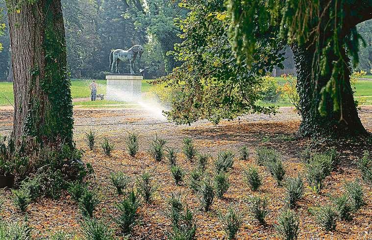 Překvapivá tajemství (ne)obyčejných zvířat...str. 6 Návštěvníkům se nově upravený park otevře příští rok na jaře, kdy budou hotové i práce na zámku. FOTO R.