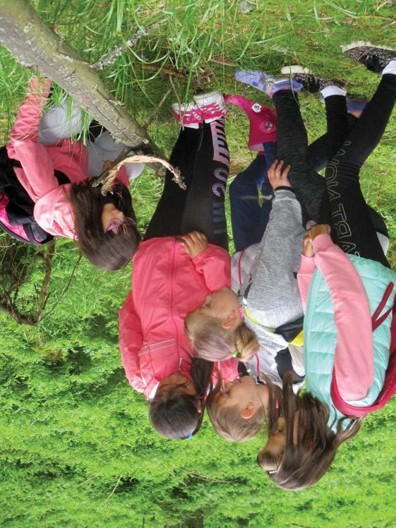 Národní park Šumava je tou nejlepší učebnou pod širým nebem JARNÍ PROBOUZENÍ Vnitřní program Kdy: únor - květen Délka programu: 1,5 hodiny VP je určen pro děti 1. 2. třídy.