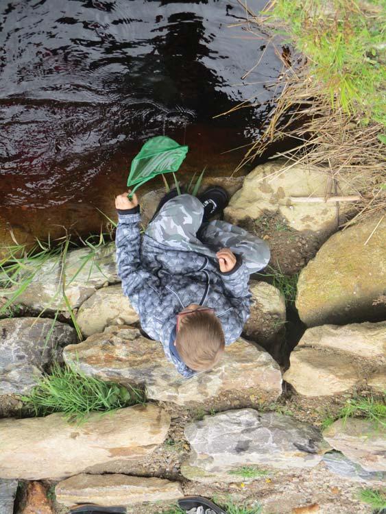 SEV NP Šumava Environmentální výchova v Národním parku a chráněné krajinné oblasti Šumava ŽABKY A ČOLCI Vnitřní program, část programu může probíhat v okolí ubytovny Délka programu: 1,5 2 hodiny