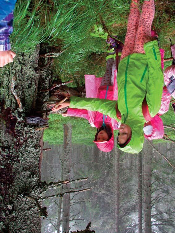 Národní park Šumava je tou nejlepší učebnou pod širým nebem MECHY A LIŠEJNÍKY Venkovní program Kdy: květen říjen Délka programu: 3 hodiny VP je určen pro žáky 2. stupně.