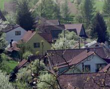 Mišo, Ptáčková, Zádrapová, Ratajová, Sporková, Slaběňák,