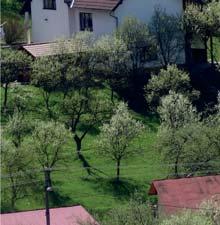 Bělejová, Benedová, Benedová Kolínková, Beňová,