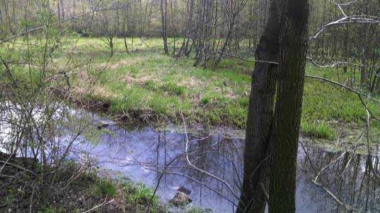 Obrázek 12.10.