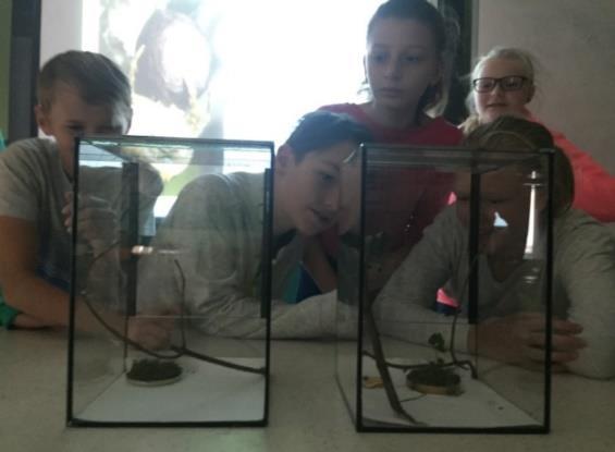 Exkurze ZOO Ohrada Studenti sekundy se zúčastnili výukového programu o plazech, kde si prohloubili probrané učivo a příjemnou vsuvkou byl i kontakt se živými zvířaty - gekončík a korálovka.