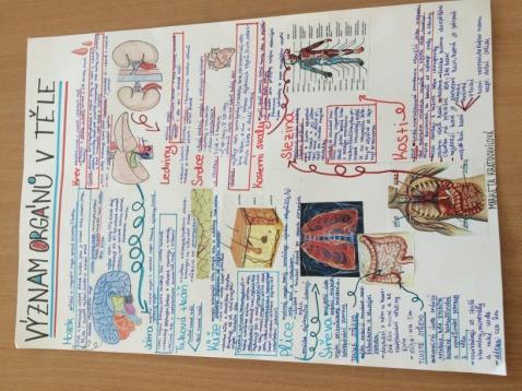 Třídní projekty Poruchy příjmu potravy byly předmětem třídního projektu kvarty. Žáci vypracovali projekt pojednávající o bulimii a anorexii.