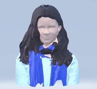 Od příště už máme na sociálních sítích pouze 3D bysty našich hlav. Na nejpovedenější výtvory se můžete podívat v připojeném videu.