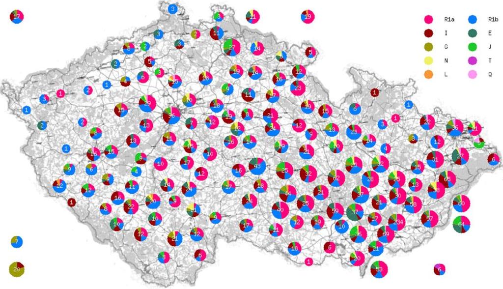 Využití metod genetické genealogie k výzkumu příbuznosti paternálních linií v české populaci Bc. Andrea Tomanová (M2) Školitel: Ing. Michaela Marková, Ph.D.