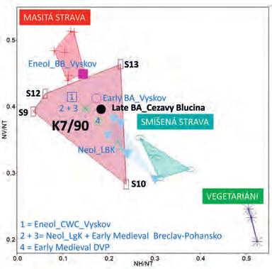 jedinců z Blučiny Cezav (Late BA velatická) ve srovnání s dalšími populacemi (populace jsou uvedeny v průměrných hodnotách, muži z kumulace K7/90 v absolutních číslech).
