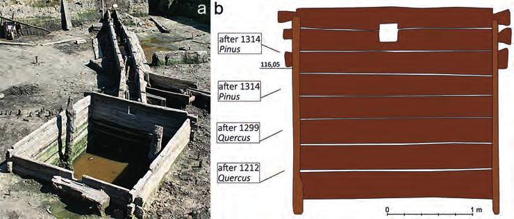 322 Krąpiec Piekalski: Dendrochronology vs. dating of complex stratigraphic Fig. 8. Wrocław, Nowy Targ square, excavations 2010 2012. Stratigrafic unit 253.