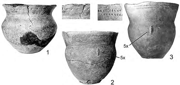 Archeologické rozhledy LXXI 2019 219 Obr. 30. Nálevkovité poháry předbaalberské a raně baalberské KNP ze středočeského Polabí: 1 Nová Ves, okr. Kolín; 2 Kolínsko, bez lokality; 3 Stará Boleslav okolí.