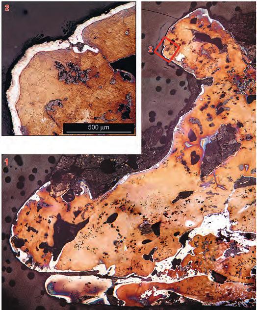 Archeologické rozhledy LXXI 2019 157 Fig. 1. An example of surface subscale enrichment; part of a bloom from experimental smelting with an arsenic-rich surface layer (white); etched with Oberhoffer s reagent.