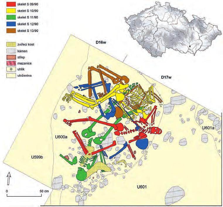 242 Drtikolová Kaupová et al.: Nové poznatky o stravě mužů Obr. 1. Blučina Cezavy, kumulace pěti lidských skeletů K7/90 (podklady M. Salaš, digitalizace J. Štrof). Fig. 1. Blučina Cezavy, south Moravia.