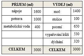 průtok koronárními artériemi. Organismus dospělého člověka obsahuje asi 24 g Mg, z toho 60 % je zabudováno v kostře. Nízká hladina hořčíku je spojena s rozvojem astmatu, osteoporózy nebo cukrovky.