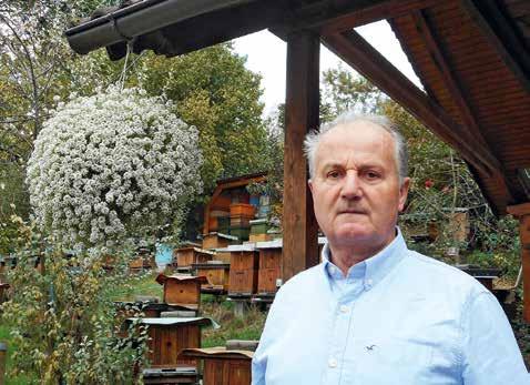 Včelařská praxe Šlechtění včel a chov matek v českých zemích XI. Pochopil jsem, že jste na vlastní kůži zažil nástup kraňky.
