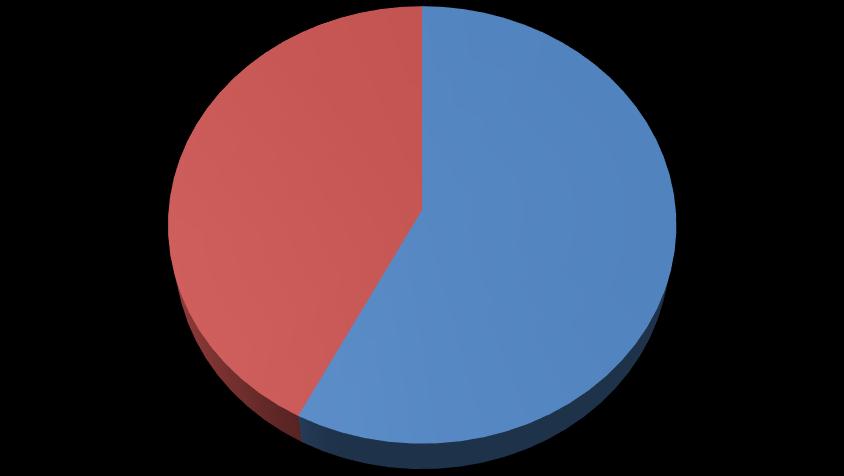 II. Statistika pobytových klientů ve školním roce 2018/2019 a)