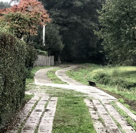 Skutečnost, že vedení obce nechce plýtvat obecními penězi, nám opět ukázalo nesmyslnou stavbou zpevnění cesty betonovými panely u potoka ve zmíněné lokalitě, jako náhražku uzavřené cesty.