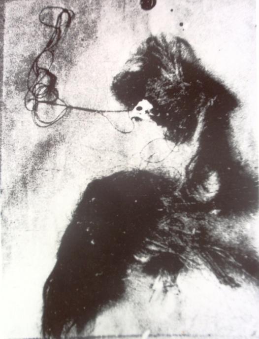 Ladislav Zívr: Surrealistické l objet II,