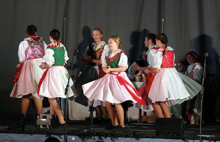 zpravodaje.