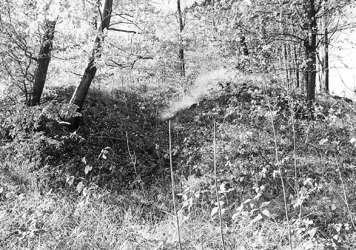 Úplný zánik tehdy už zcela nefunkční zpustlé vápenky zaznamenává buchlovická obecní kronika z roku 1953, psaná učitelkou Zdenkou Hánovou: Na zalesněném vrchu, ležícím při úpatí Buchlova, byla stará,