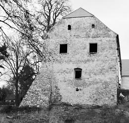Jedná se o soukromé pozemky sousedící s místními silnicemi a chodníky, kde stromy a keře prorůstají přes plot, brání ve výhledu a zužují tak profil komunikací.